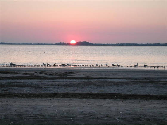 Edisto Sunset